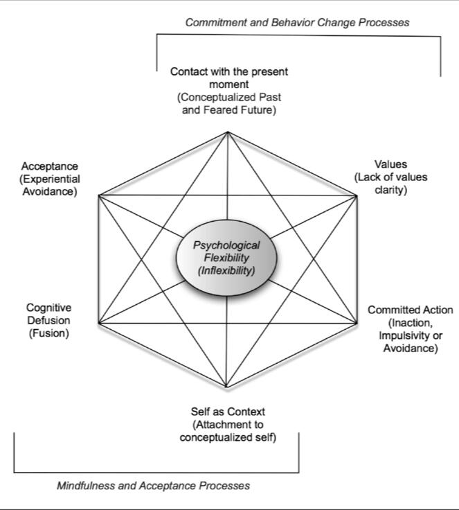 The ACT Hexaflex Credit: Steve Hayes